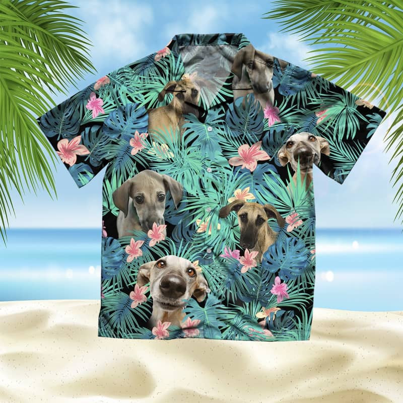 Felacia Sloughi Summer Leaves Hawaii Shirt Ha79984