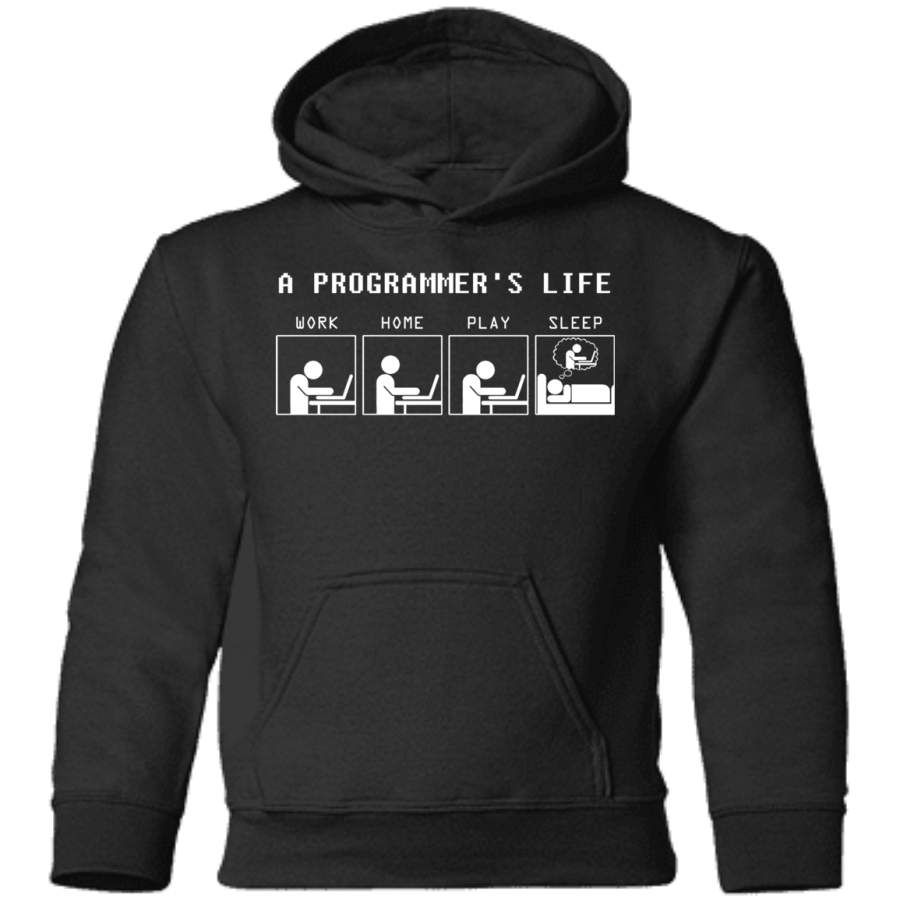 AGR Programmer Toddler Pullover Hoodie