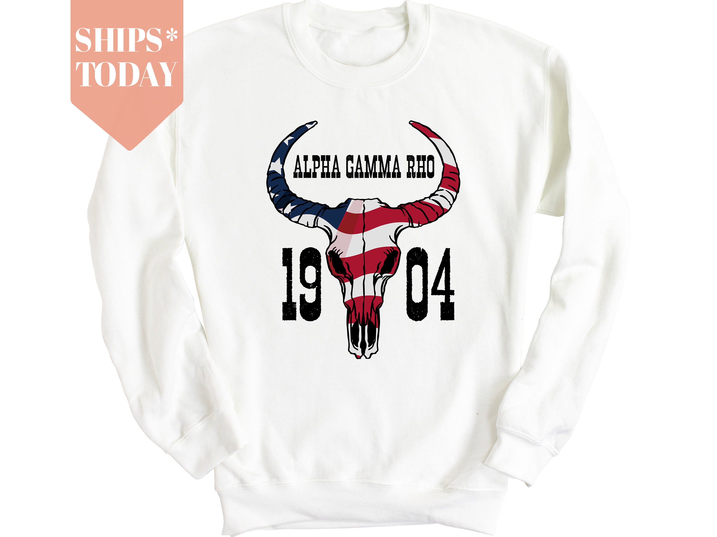 Alpha Gamma Rho Flag and Skull Fraternity Sweatshirt | AGR Hoodie | Fraternity Gifts | Crewneck Sweatshirt | Initiation Gift _ 1804g