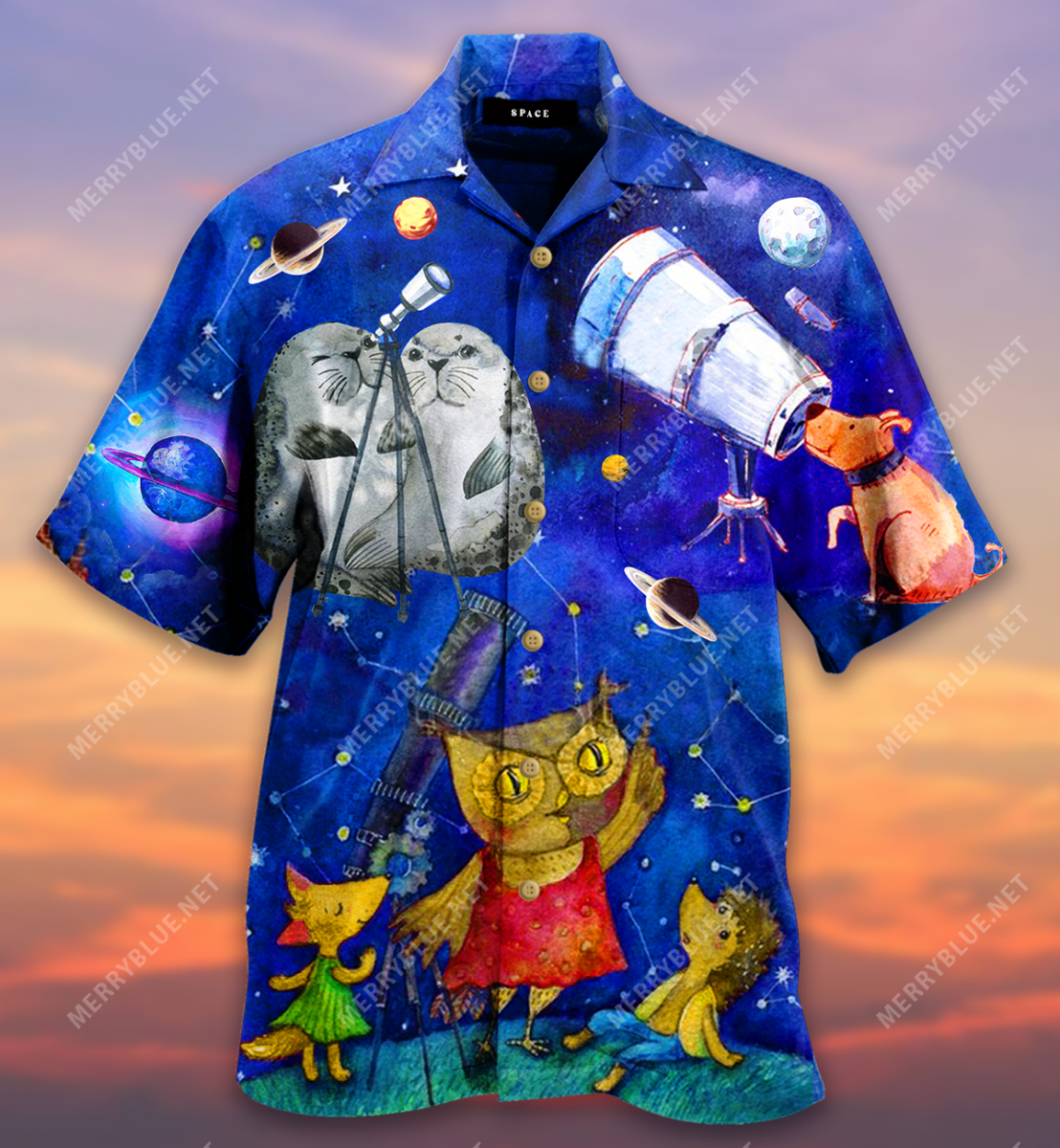 Through The Space Hawaii Shirt Ha9118