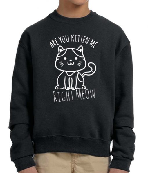 Are You Kitten Me Right Meow Cool Sweatshirt