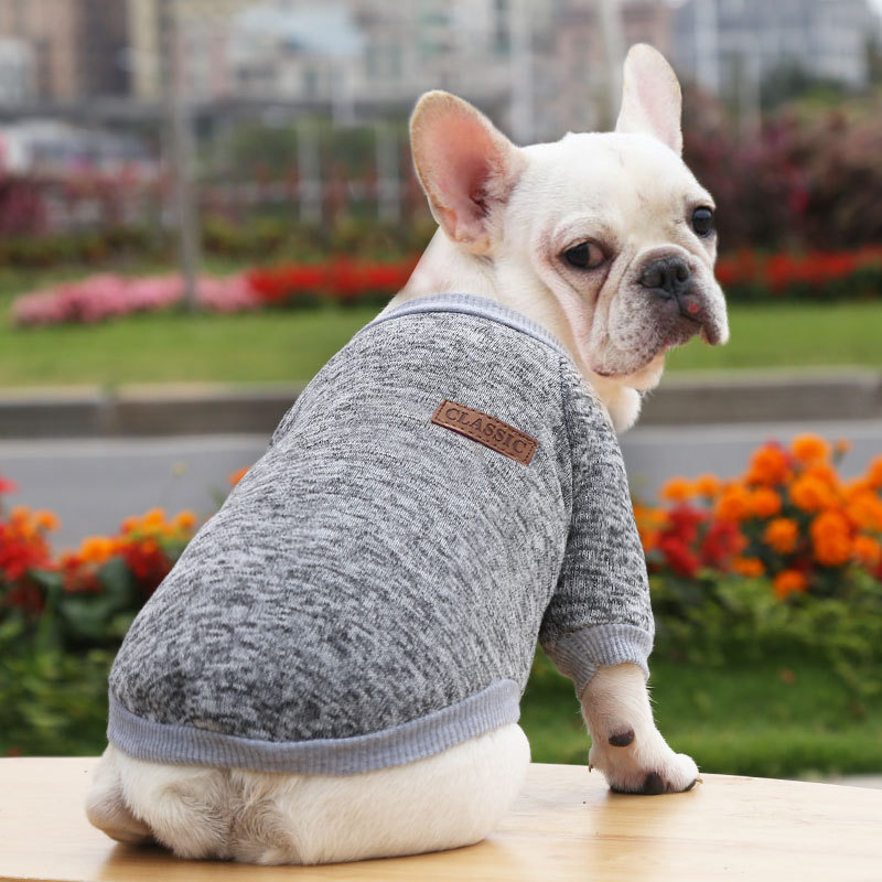 Autumn and Winter Warm Pet Dog Sweater Designer Dog Clothes for Small Large Dogs Cat Pet Clothes Two-leg Hoodie Dog Costume alx