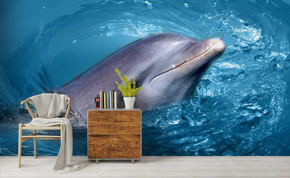 3D Aquarium Animal Dolphin Wall Mural Wallpaper Lqh 220