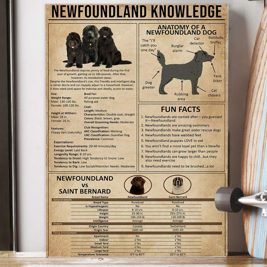 Newfoundland Knowledge  Unique Custom Design  Poster  Gift For Dog Lovers