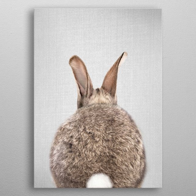 Rabbit Tail Colorful Canvas Poster 8″x12″ 12×18″ 18″x26″ 24″x36″ 30″x45″