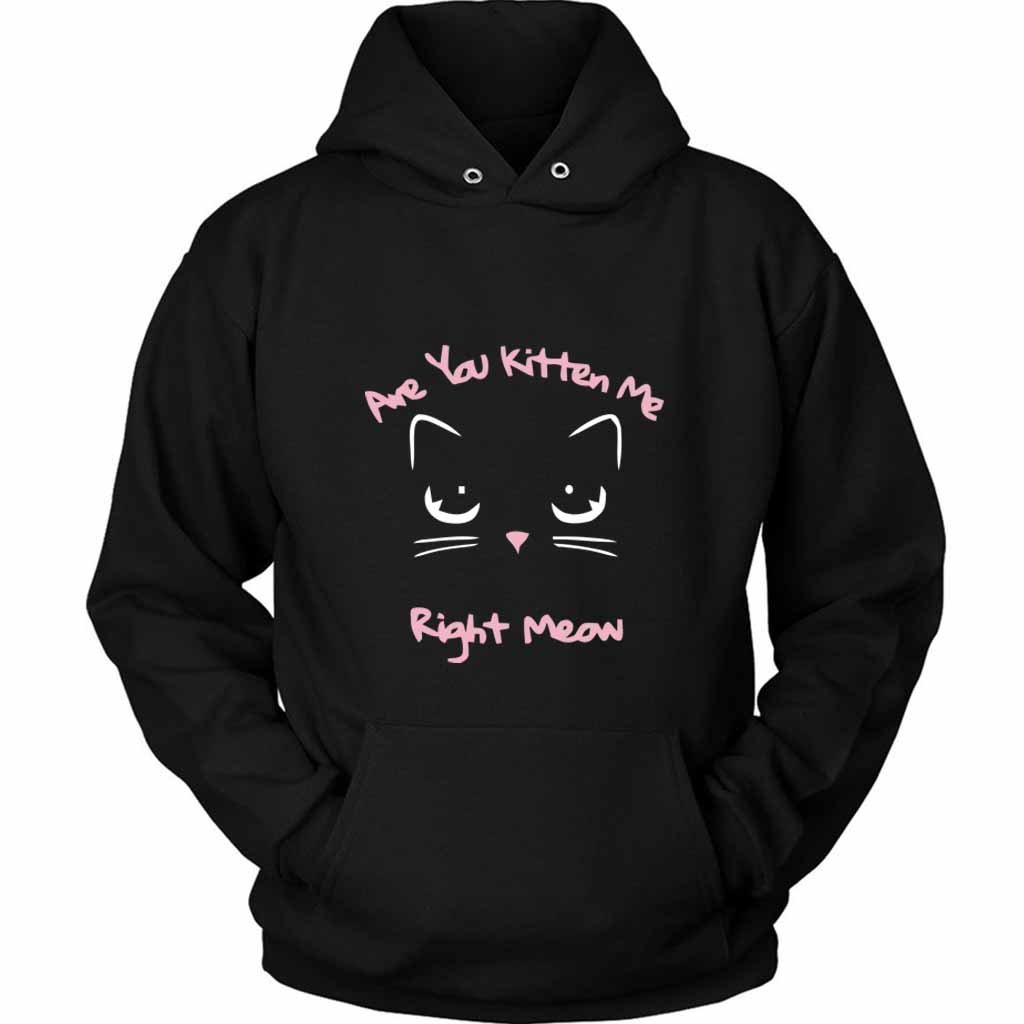 Are You Kitten Me Right Meow Putt Unisex Hoodie