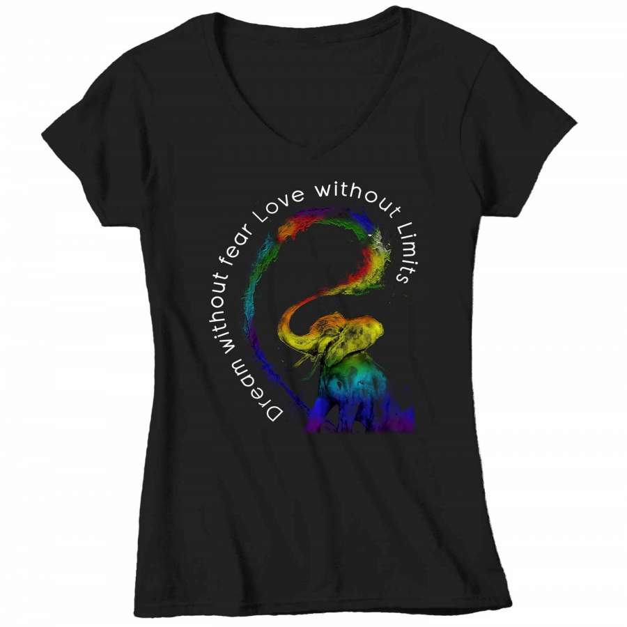 Women’s V-Neck LGBT T Shirt Dream Without Fear Shirt Love Without Limits Shirts Inspirational LGBT Shirts Elephant Rainbow Shirt