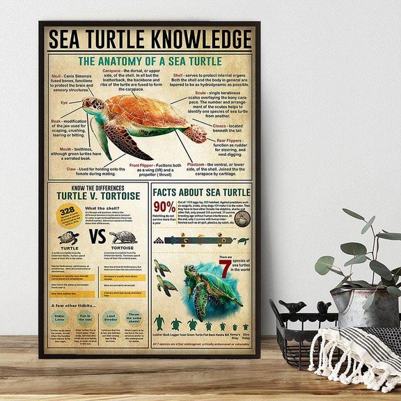 Sea Turtle Knowledge Poster Canvas Home D  cor Gifts For Men Women