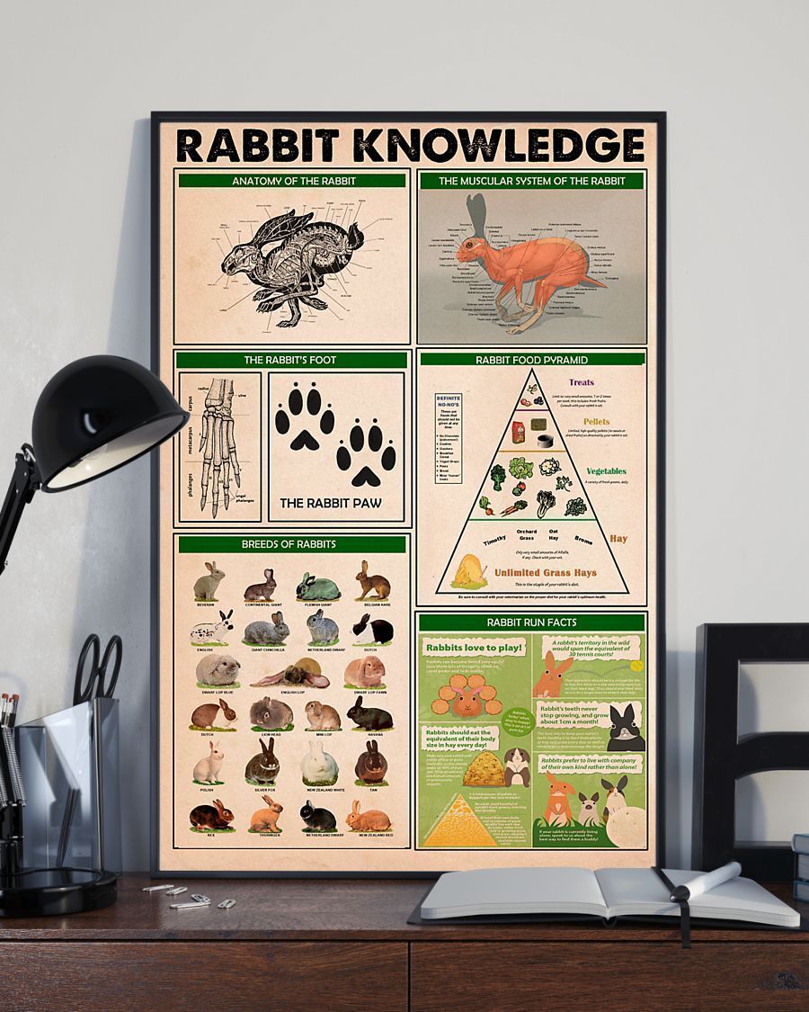 Rabbit Knowledge Vertical Canvas And Poster – Wall Decor Visual Art