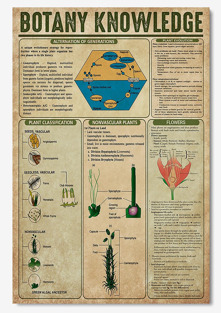 Botany Knowledge Plant Wall Art For Gardener Garden Decor Poster