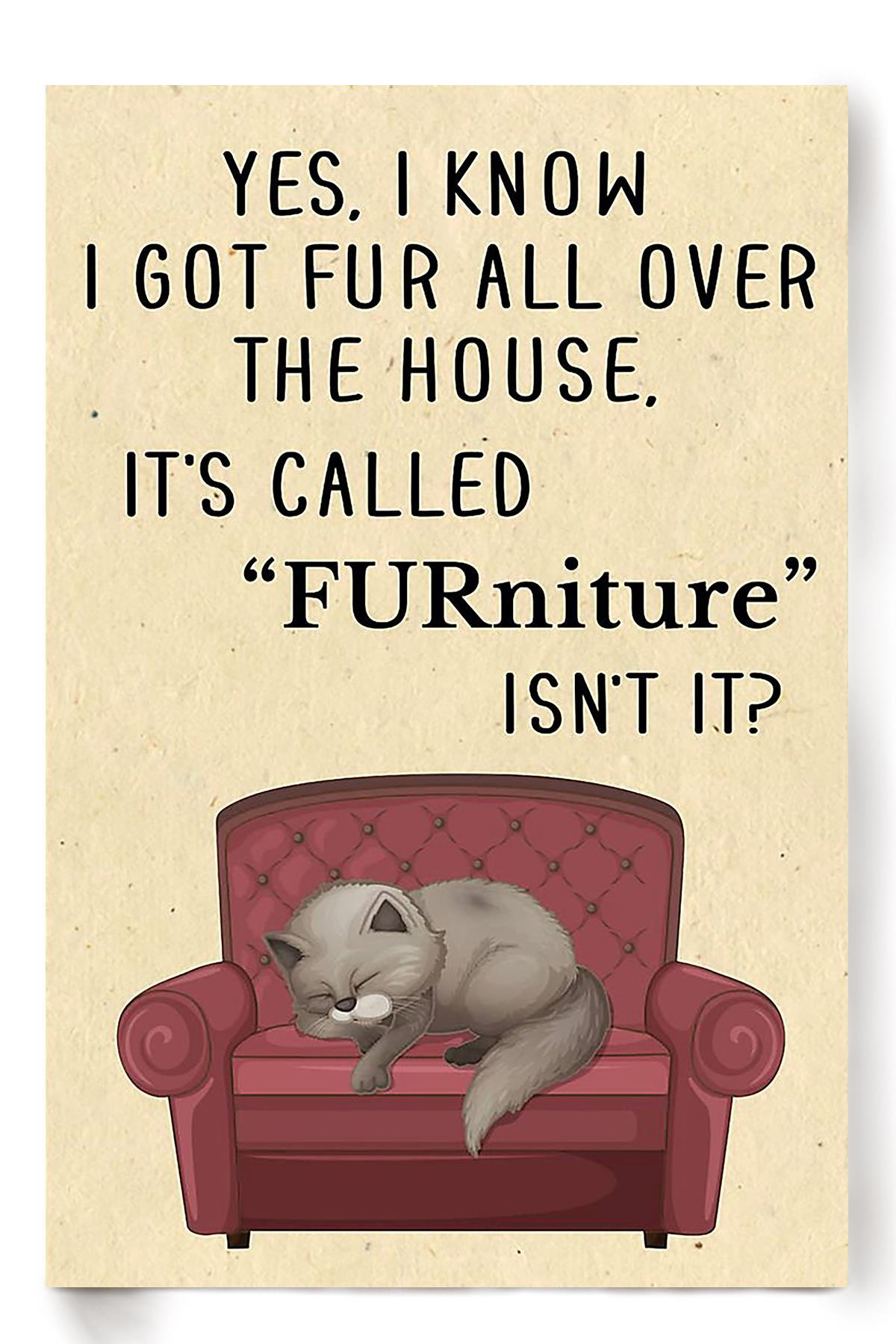 Cat Its Called Furniture Isnt It Animal Wall Art Gift For Cat Lover International Cat Day Kitten Foster Livingroom Decor Poster