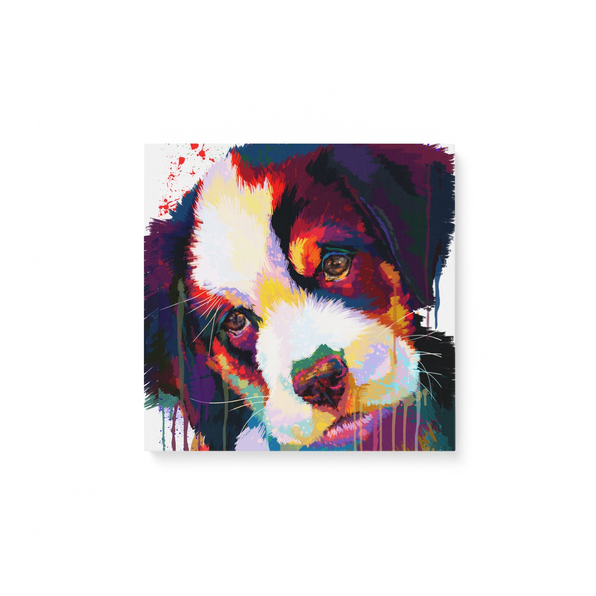Bernese Water Color Canvas