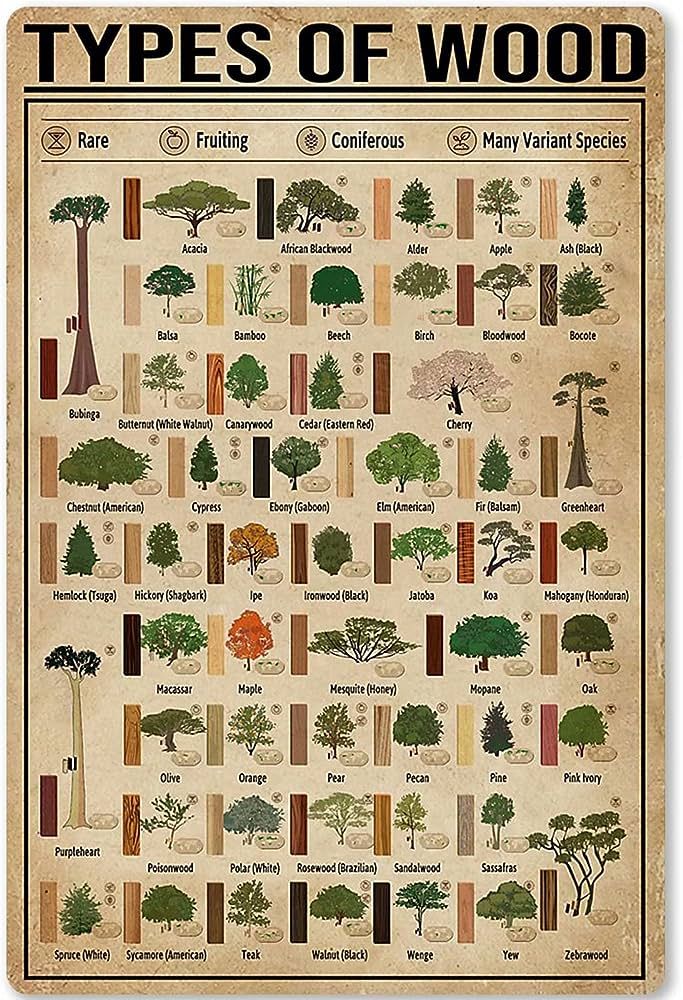 JIUFOTK Carpenter Poster Metal Tin Sign Types of Wood Knowledge Infographics School Home Kitchen Club Education Posters for Walls 12×17 Inches fashionstation 0608 1809