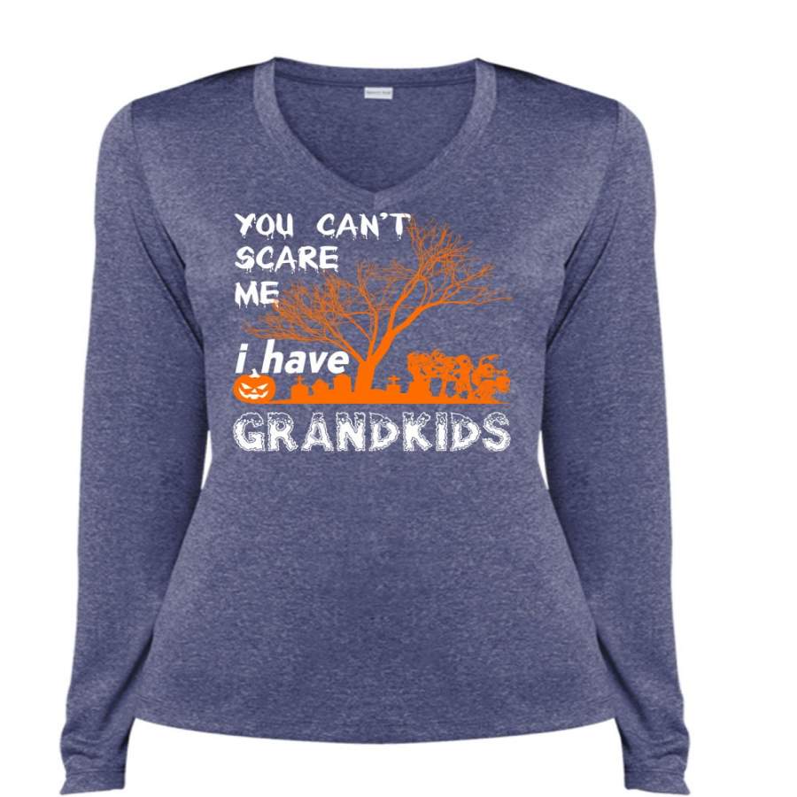 You Can’t Scare Me T Shirt, I Love You Pumpkin T Shirt, Cool Shirt (Ladies LS Heather V-Neck)