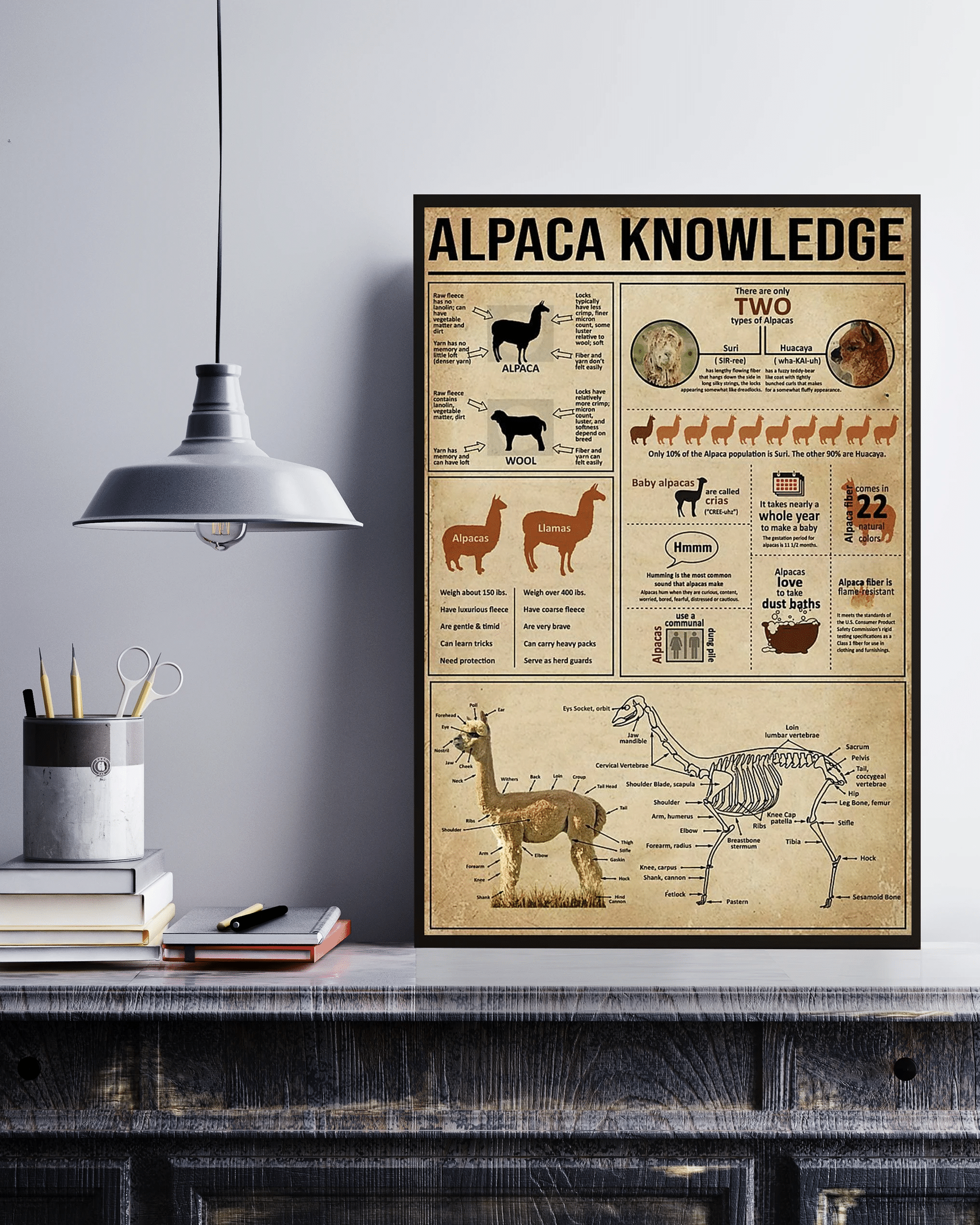 Alpaca Knowledge Canvas Poster Wall Art