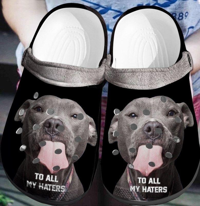 Pitbull Personalized Clog, Custom Name, Text, Color, Number Fashion Style For Women, Men, Kid, Print 3D To All My Haters