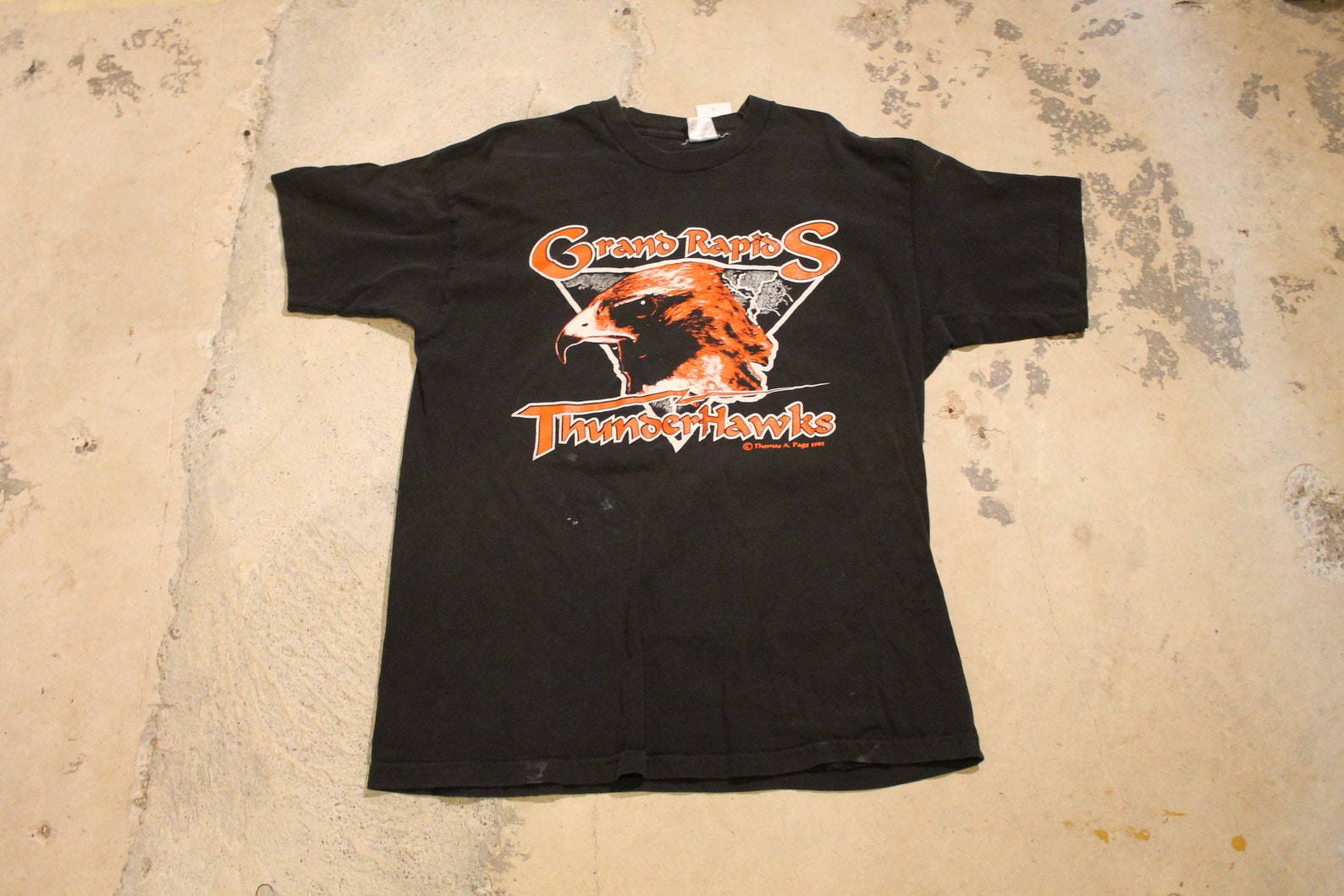 Vintage T Shirt  Grand Rapids Thunderhawks  Animal Graphic  Varsity School  80S  90S  Streetwear Fashion  Usa