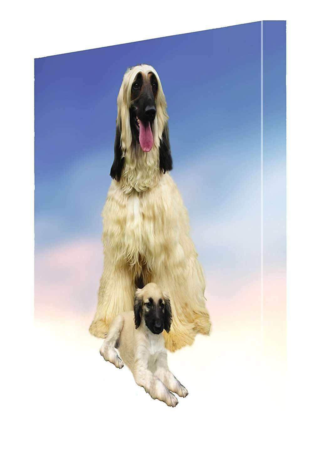 Afghan Hound And Puppy Dog Canvas