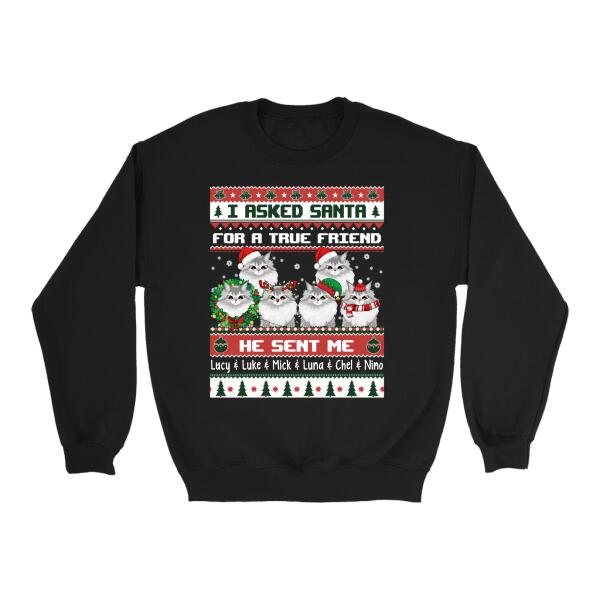 Personalized Shirt, I Asked Santa For A True Friend He Sent Me My Cats, Christmas Gift For Cat Lovers