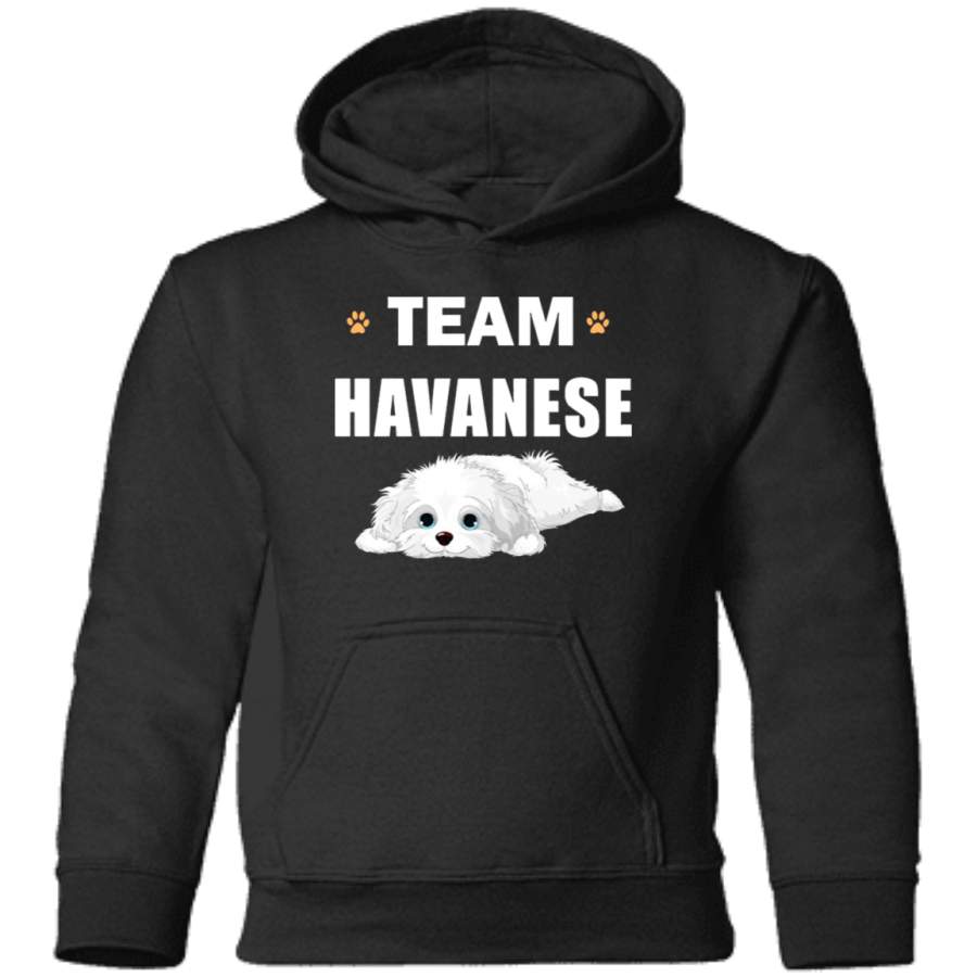 AGR Team Havanese Toddler Pullover Hoodie