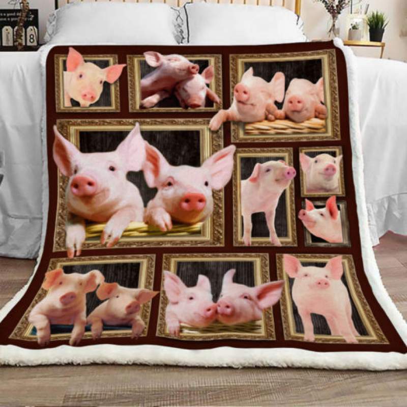 Pig Sherpa Blanket JR1602 68O50