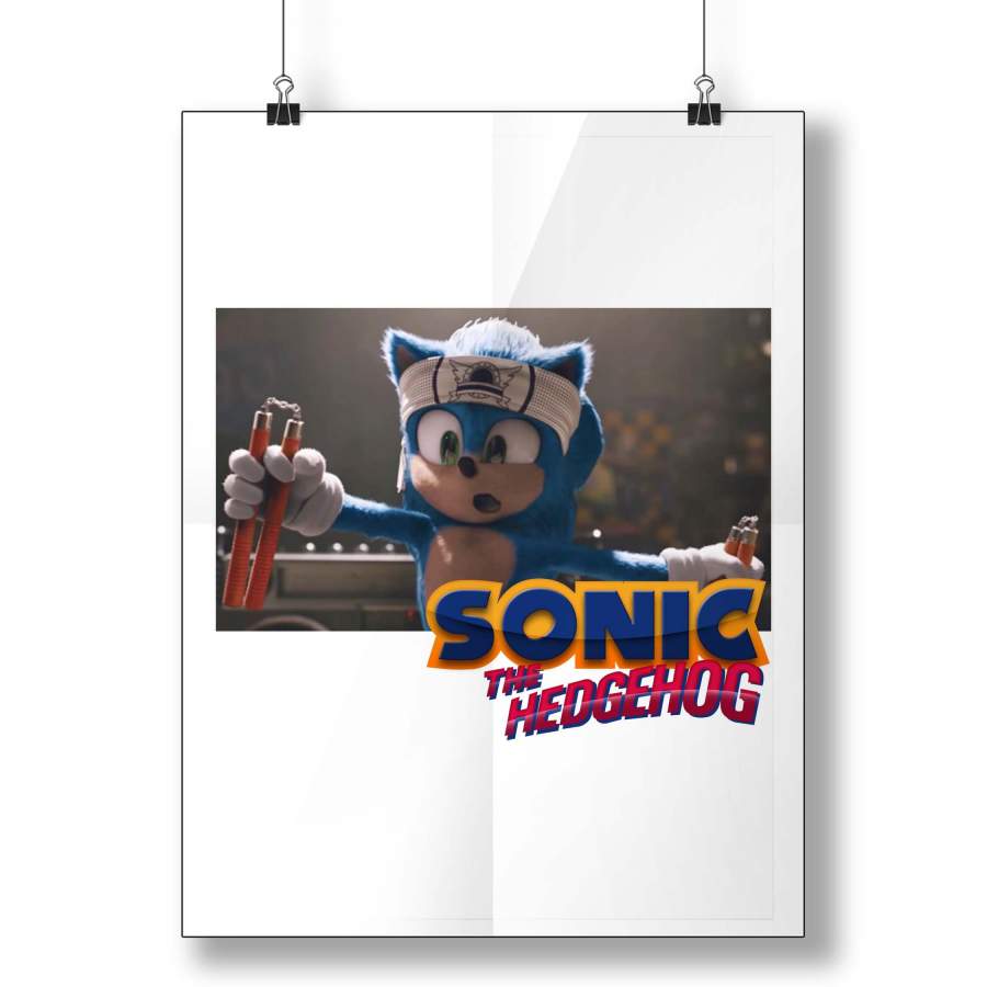 Sonic The Hedgehog Karate Poster