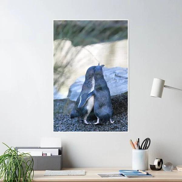 Little Blue Penguin Poster | Redbubble Penguin Posters