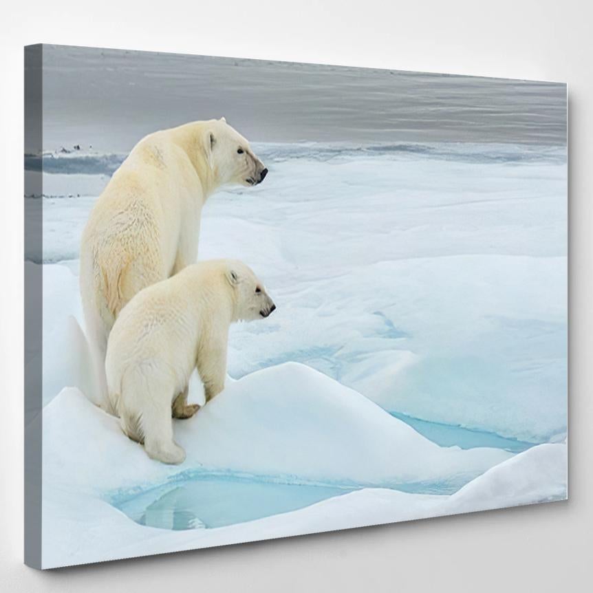 Polar Bear Mother Cub Along Ice 1 – Bear Animals Canvas Print