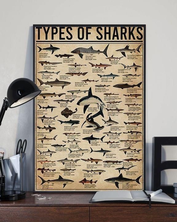 Types of sharks knowledge chart poster poster canvas