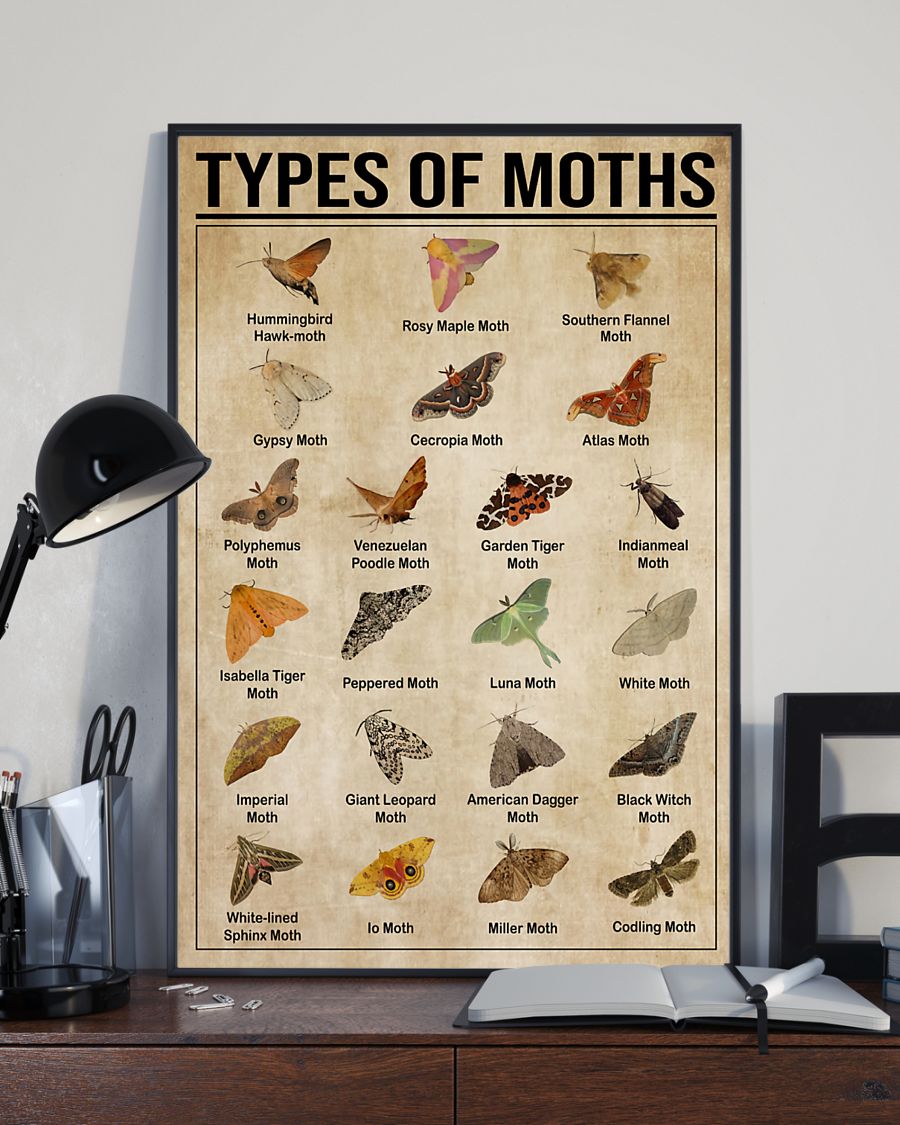 Butterfly Types Of Moths Vertical Canvas And Poster | Wall Decor Visual Art