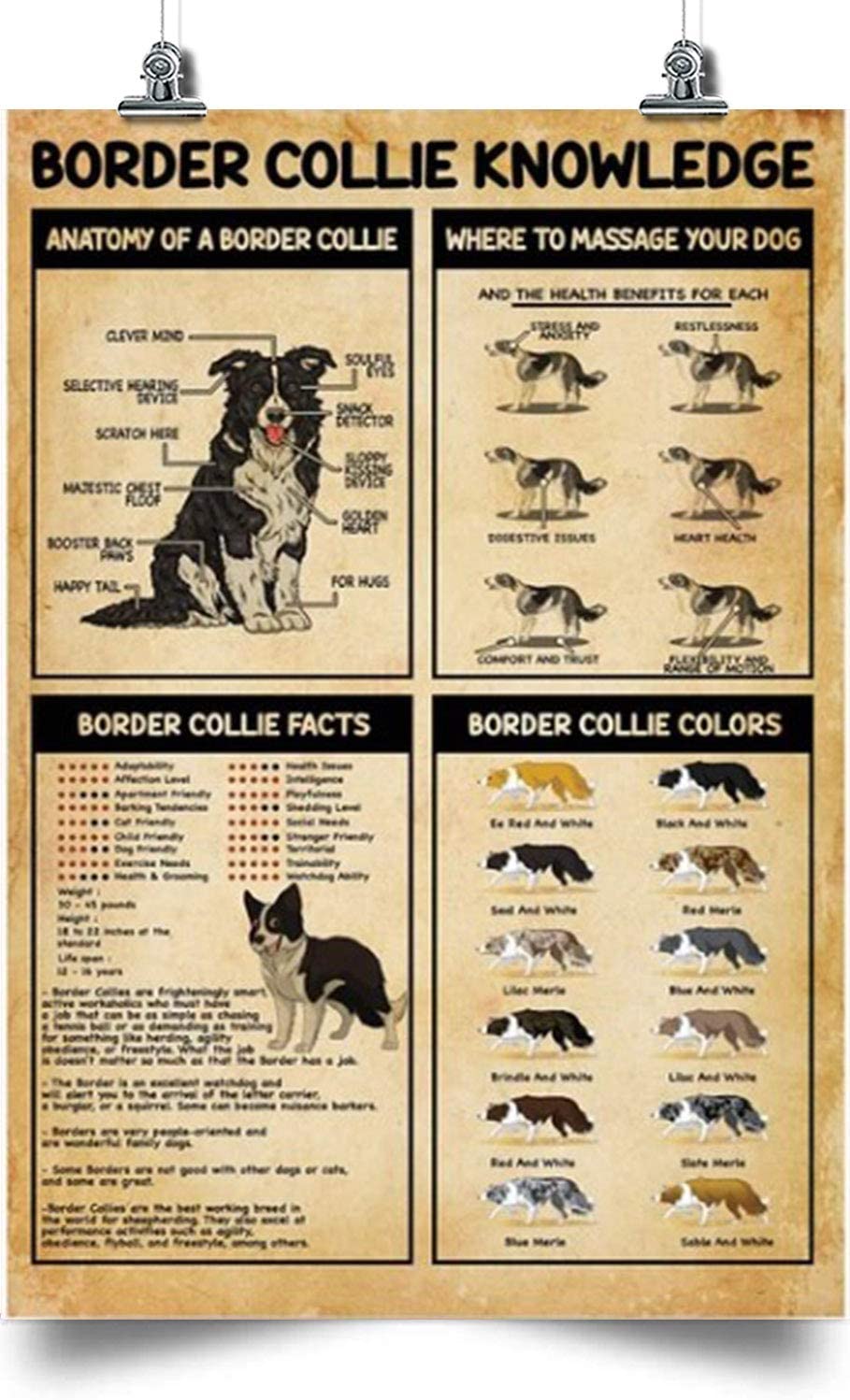 Border Collie Vertical Poster-Border Collie Knowledge-Home Decoration Poster, Wall Poster, Home And Room Decoration, Gifts For Friends And Relatives, Souvenirs.