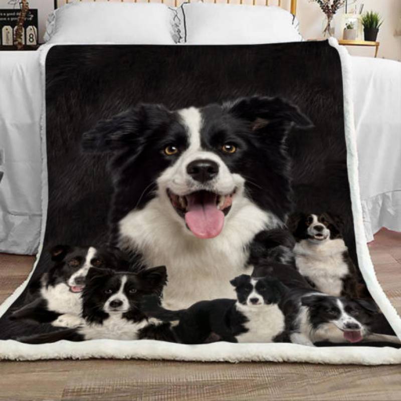 Border Collie Dog Sherpa Blanket JR1003 70O56