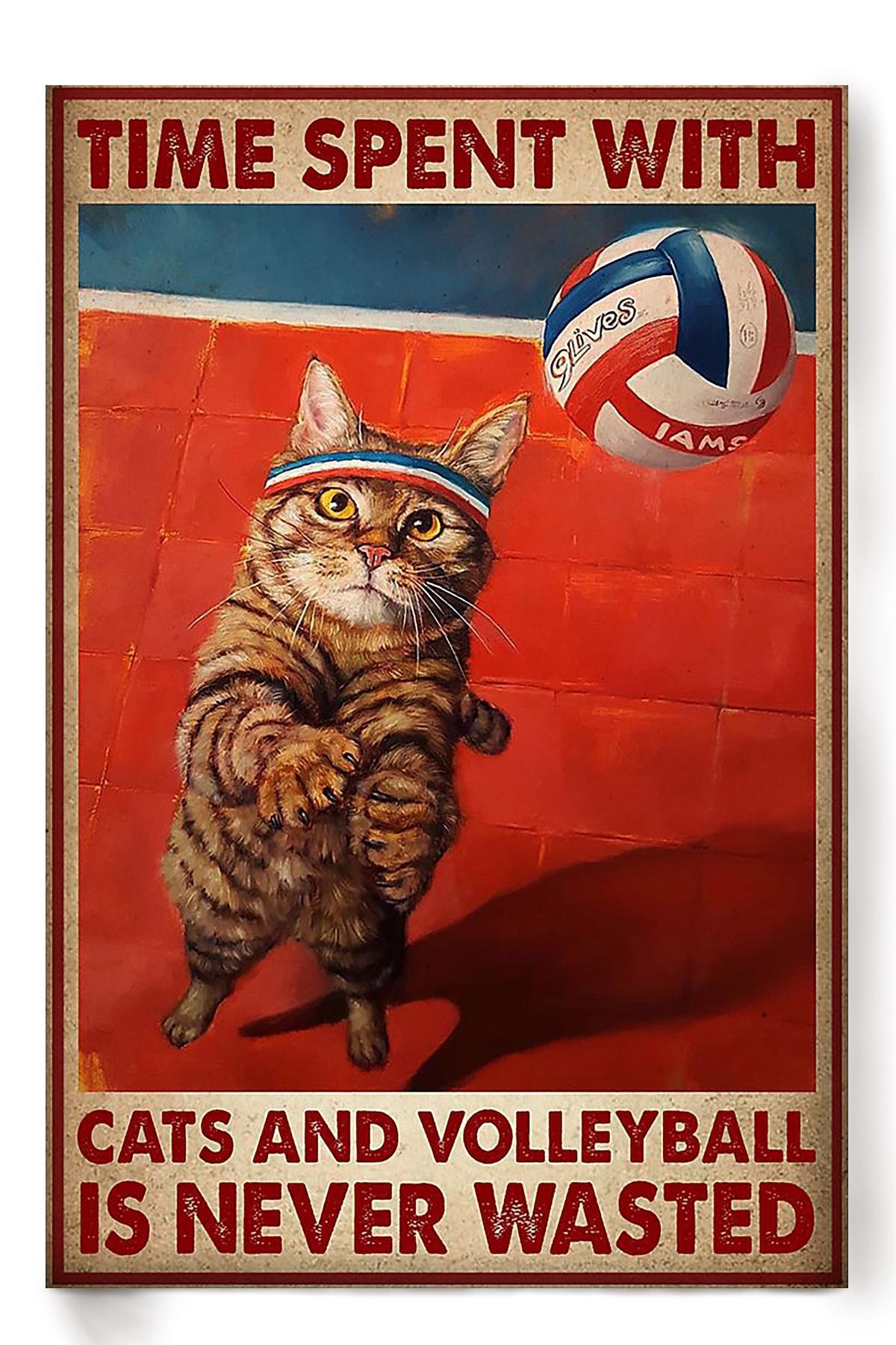 Spend Time With Cat And Volleyball Animal Wall Art Gift For Cat Lover International Cat Day Kitten Foster Poster