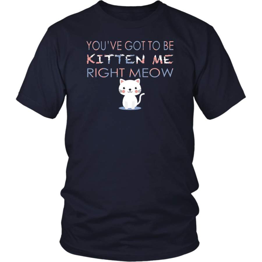 You’ve Cat to be Kitten Me Right Meow Shirt