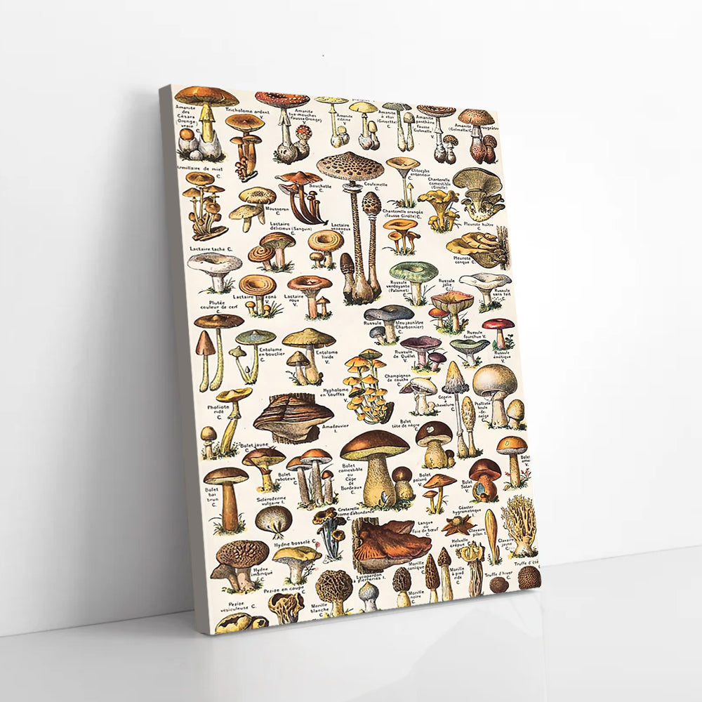 Bestieship Mushroom Knowledge Canvas Prints