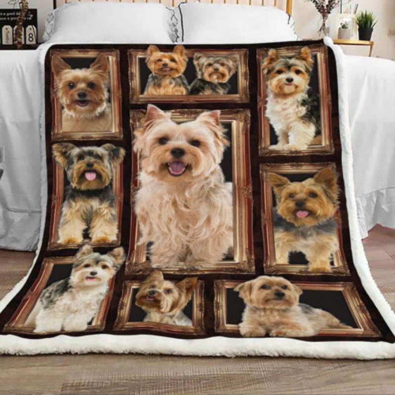 Yorkshire Terrier Sherpa Blanket JR1702 70O57