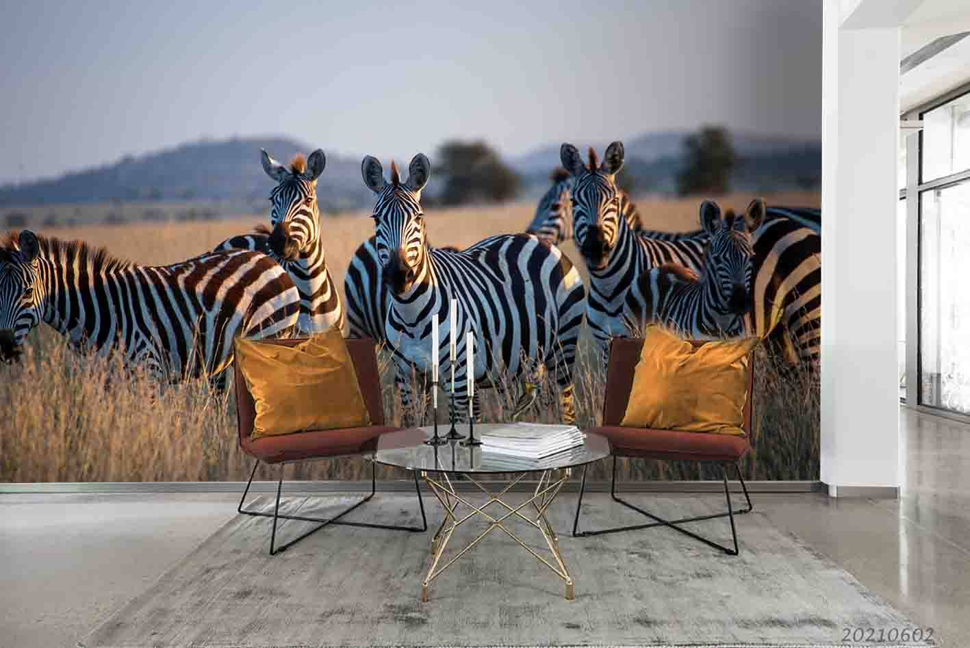 3D Animal Zebra Grassland Twilight Wall Mural Wallpaper Sww909