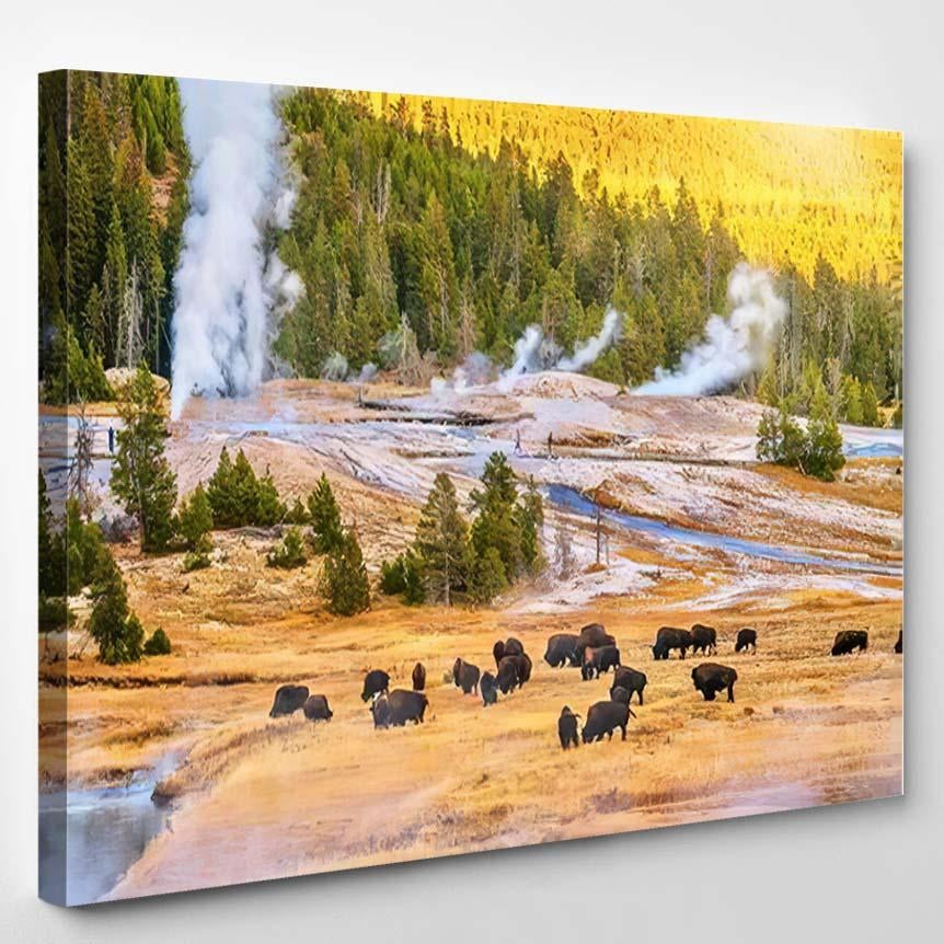 Sunset Landscape Upper Geyser Basin Yellowstone 1 – Bison Animals Canvas Print