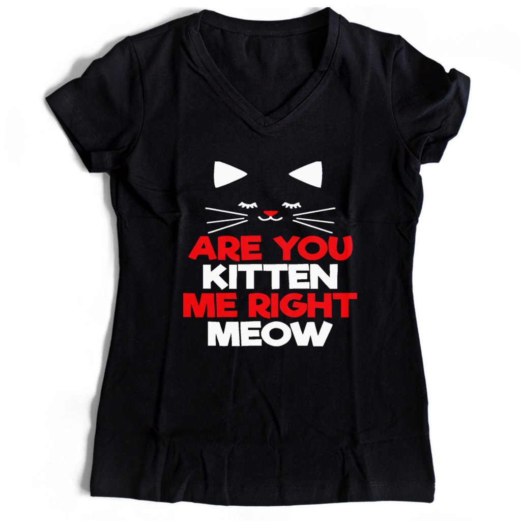 Are You Kitten Me Right Meow Lovers Women’s V-Neck Tee T-Shirt