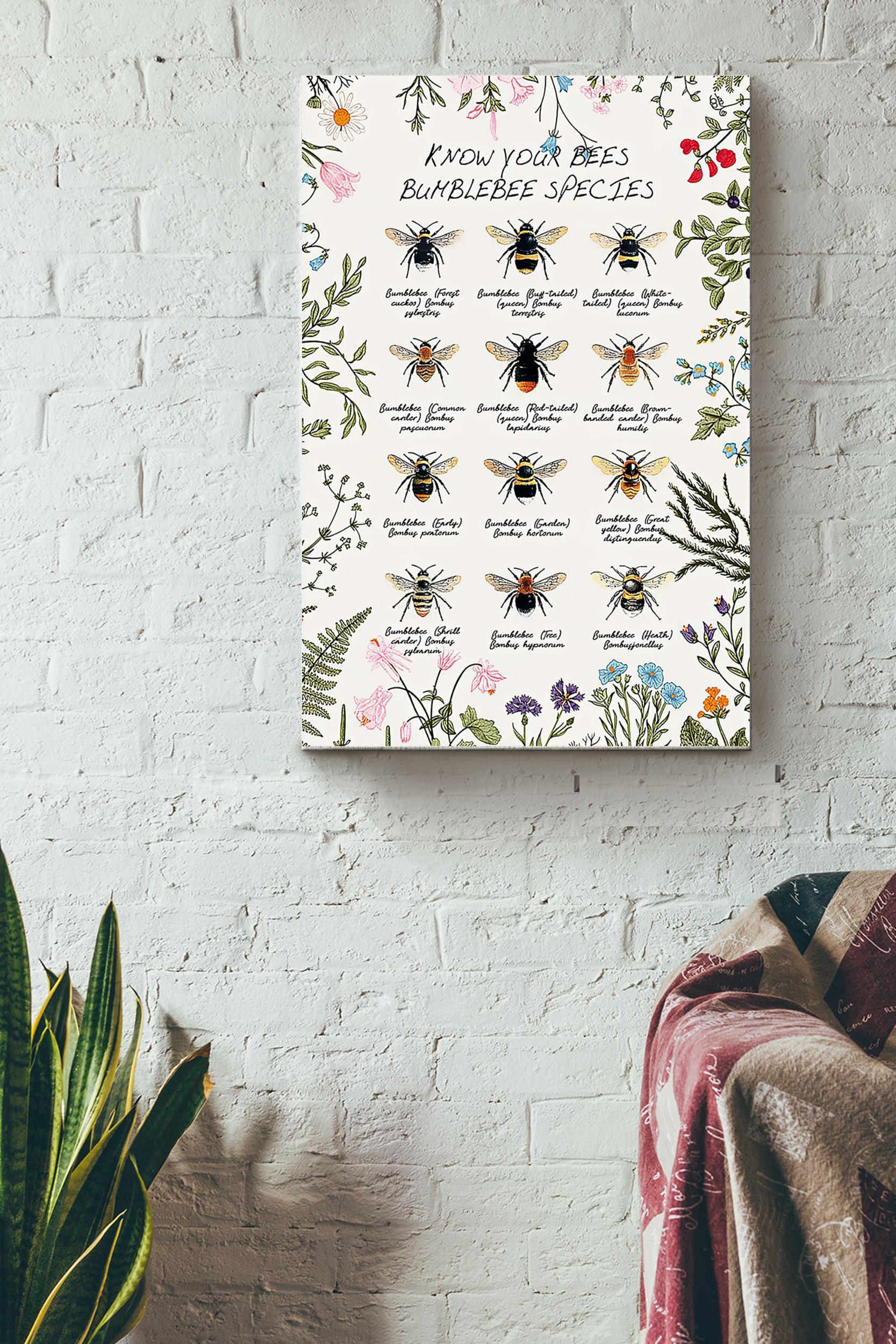 Bee Knowledge Bumblebee Species Poster – Animal Knowledge Wall Art Canvas – Gift For Gir Women Female Male Boy Men Gardener Beekeeper Bee Lover Biologist Gardenkeeper Wrapped Canvas