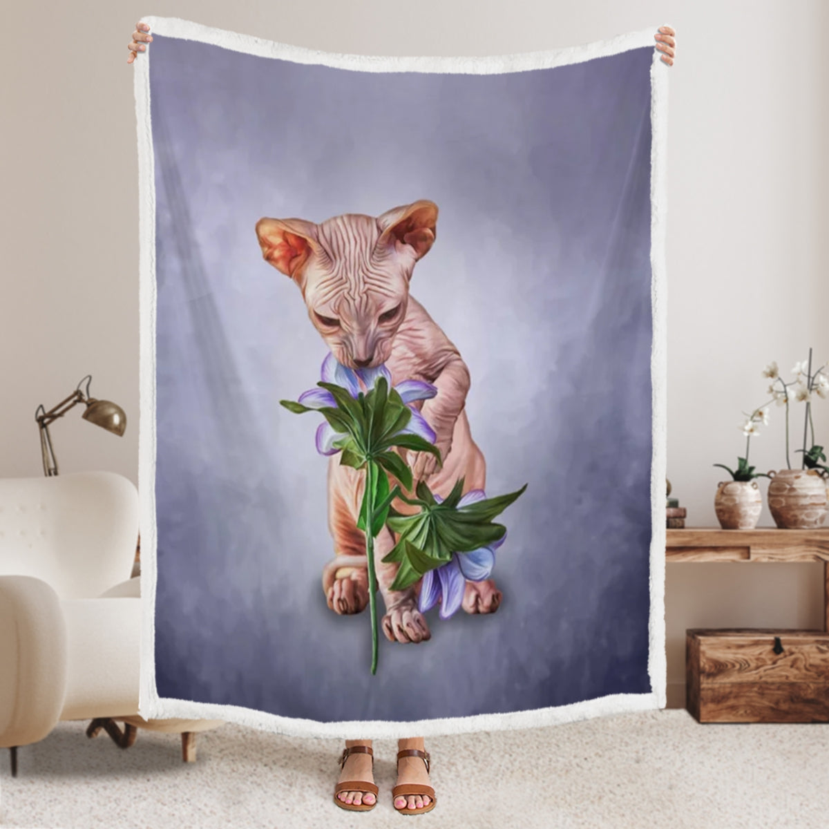 Blanket With Cats On It – Drawing Sphynx Kitten – Cats Blanket – Cat Blanket For Sofa – Furlidays