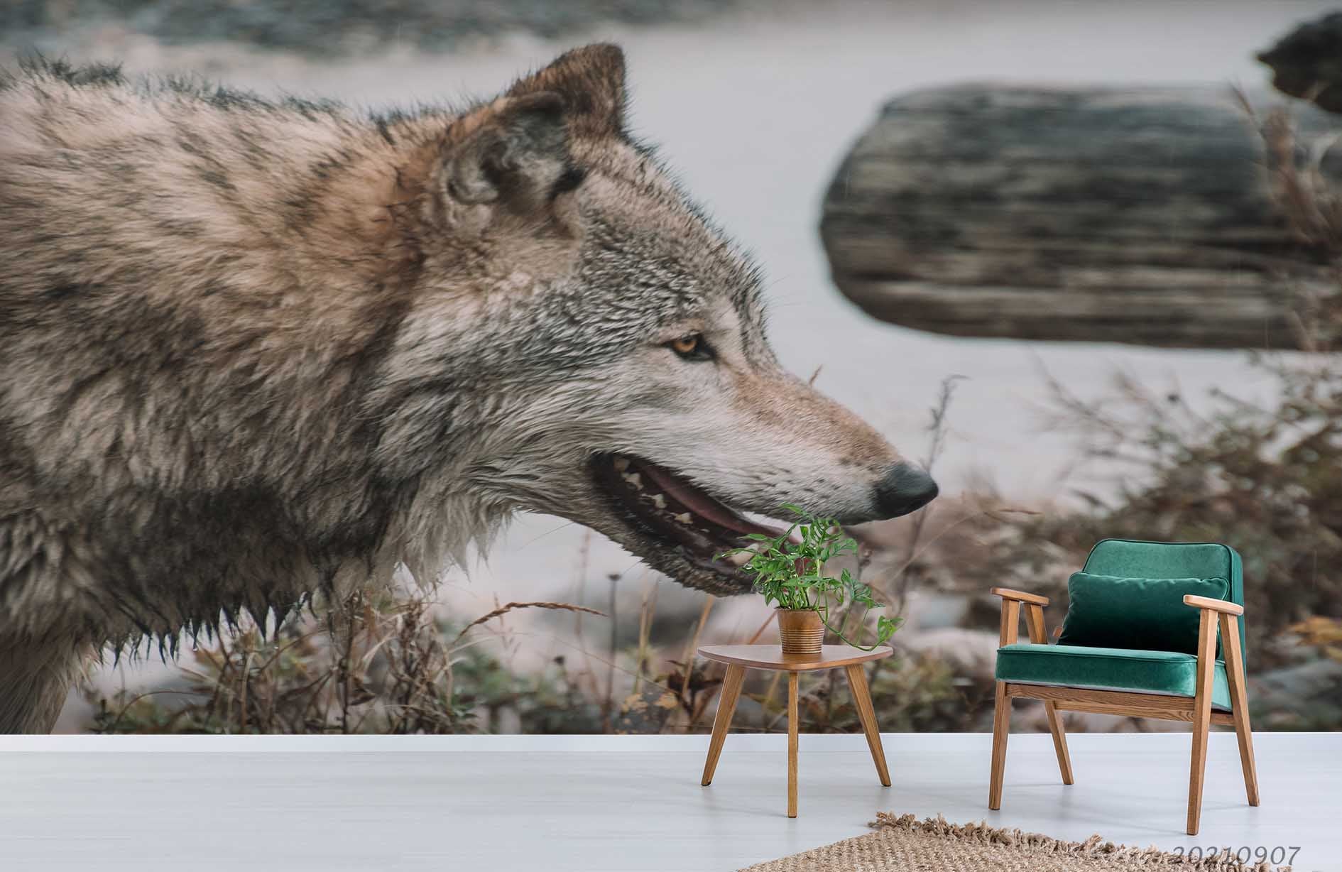 3D Wild Animal Wolf Wall Mural Wallpaper Lqh 8