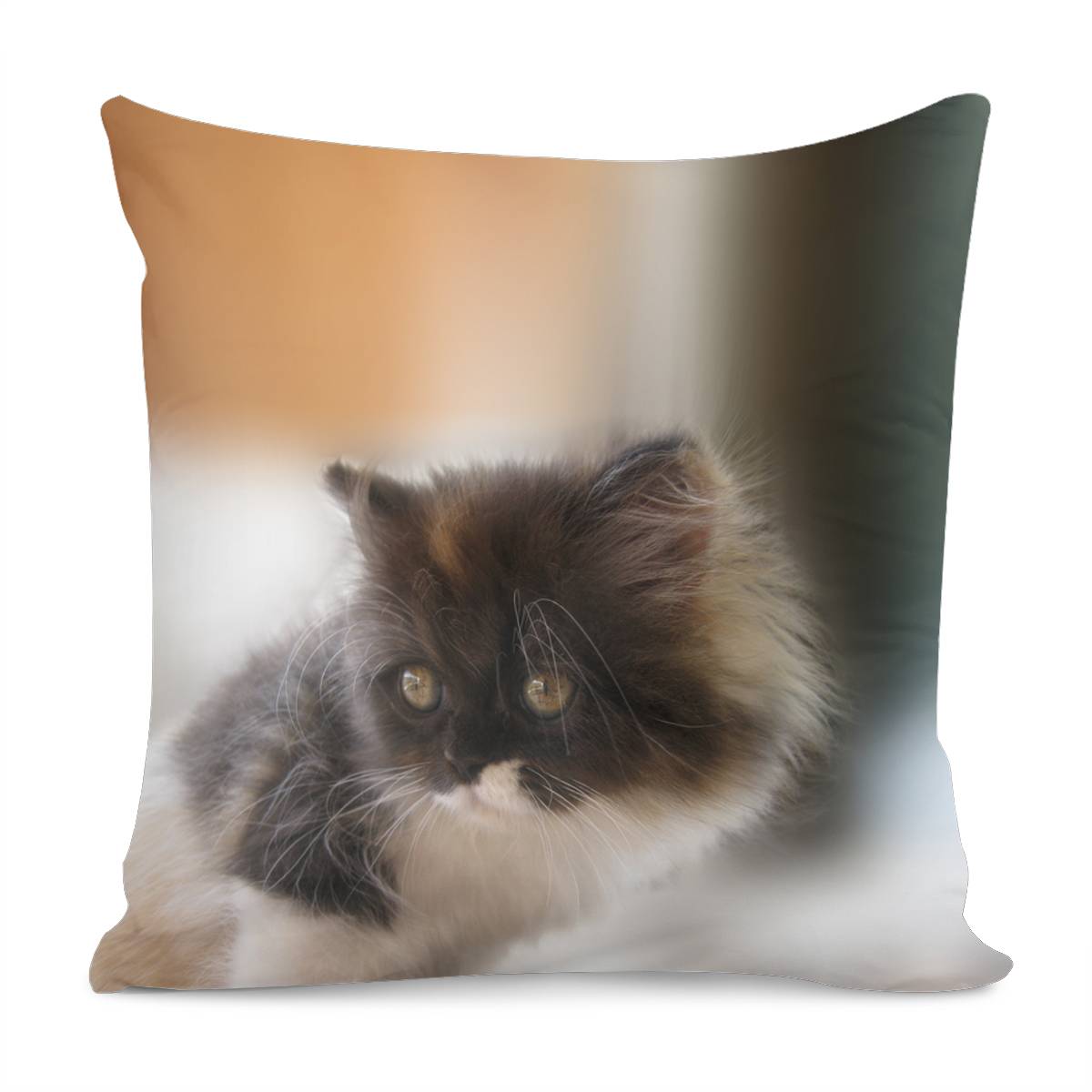 Nano Baby Kitten Pillow Cover