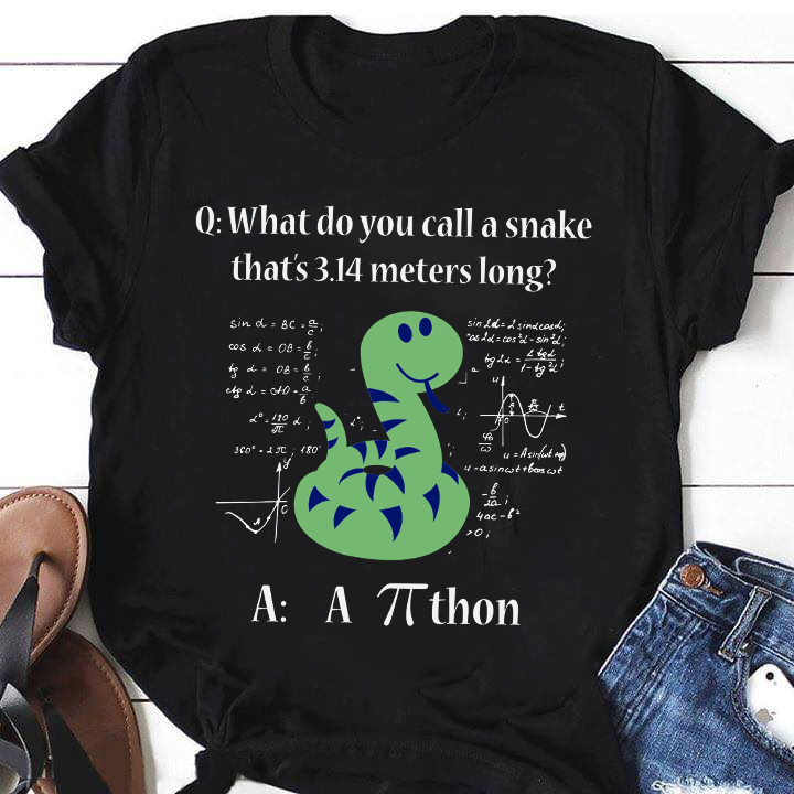 What Do You Call A Snake That Is 3.14 Meters Long Gift Standard/Premium T-Shirt