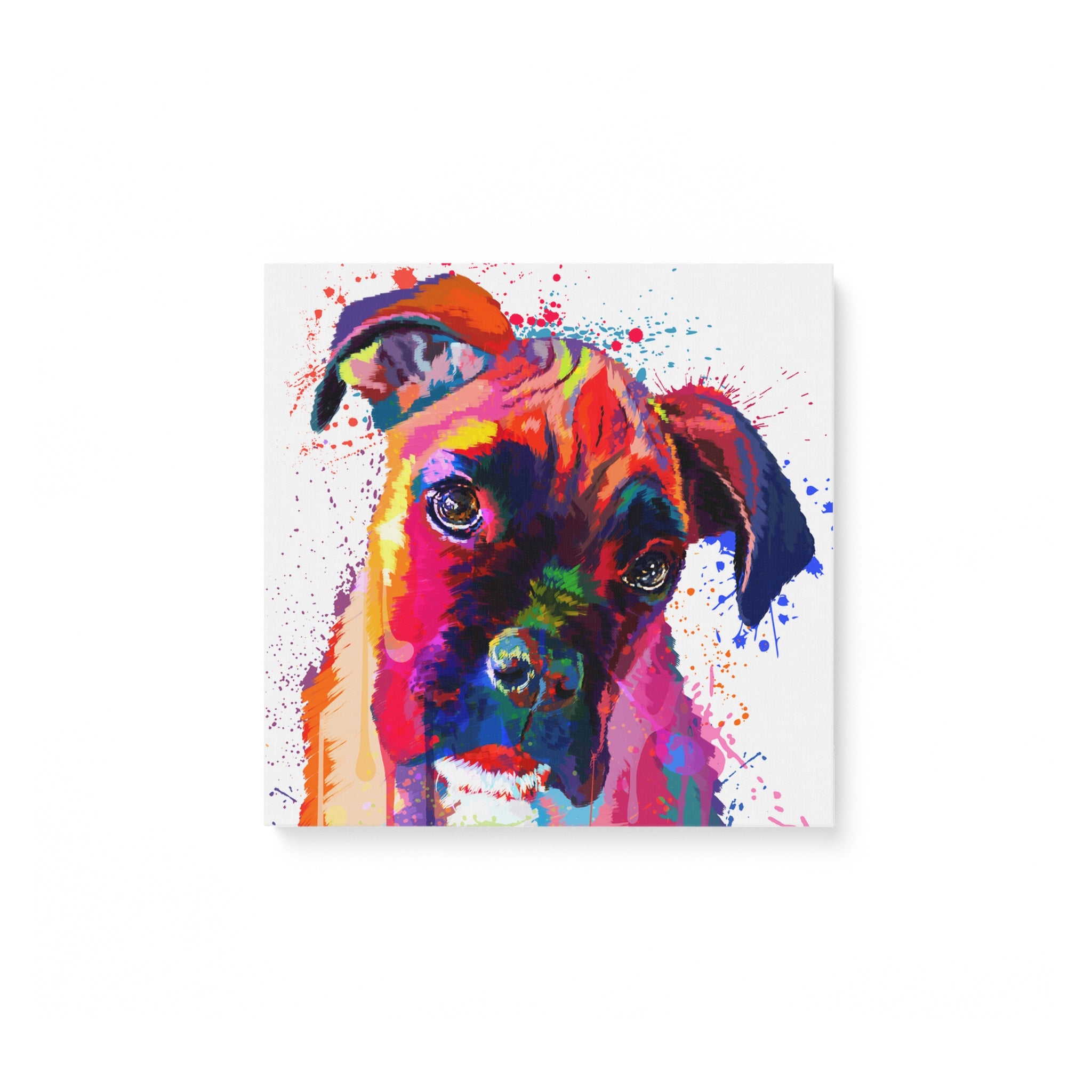 Boxer 2 Water Color – Matte Canvas