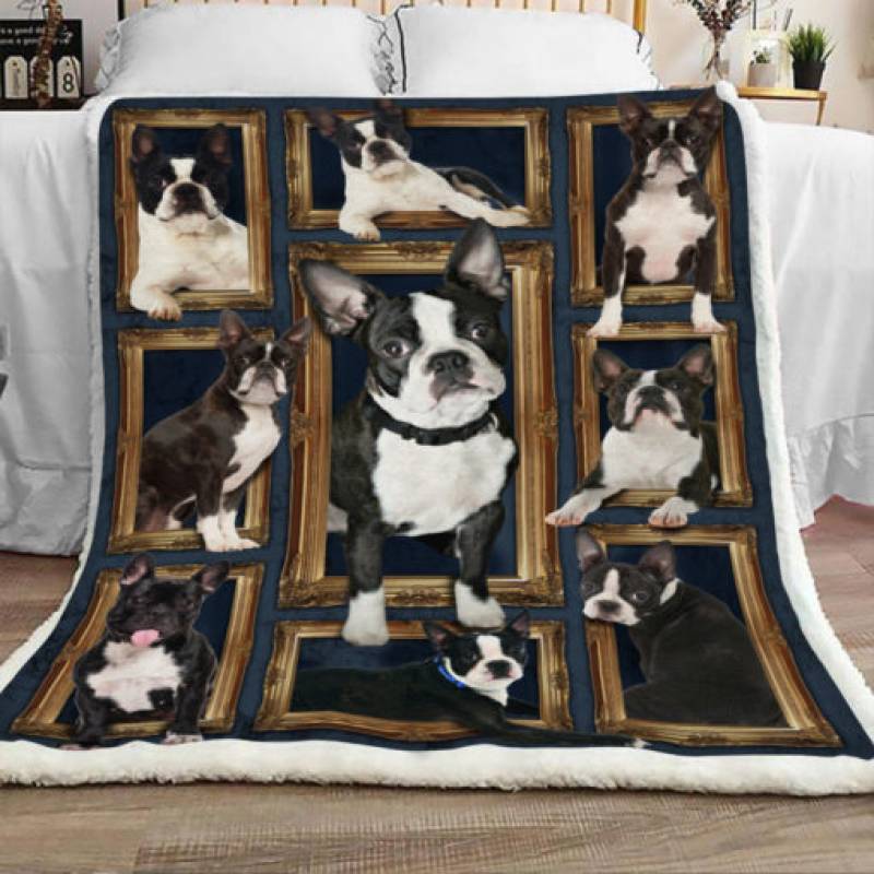 Boston Terrier Dog Sherpa Blanket JR0801 69O39