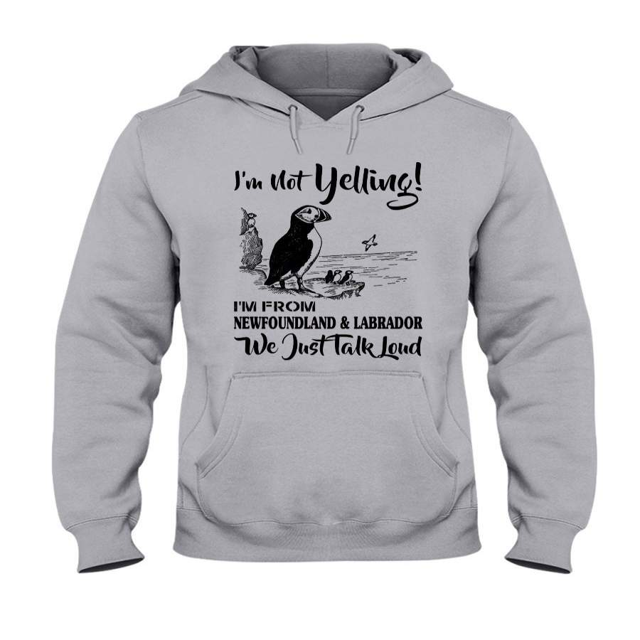 I’m Not Yelling I’m From Newfoundland And Labrador Just Talk Loud Hoodie