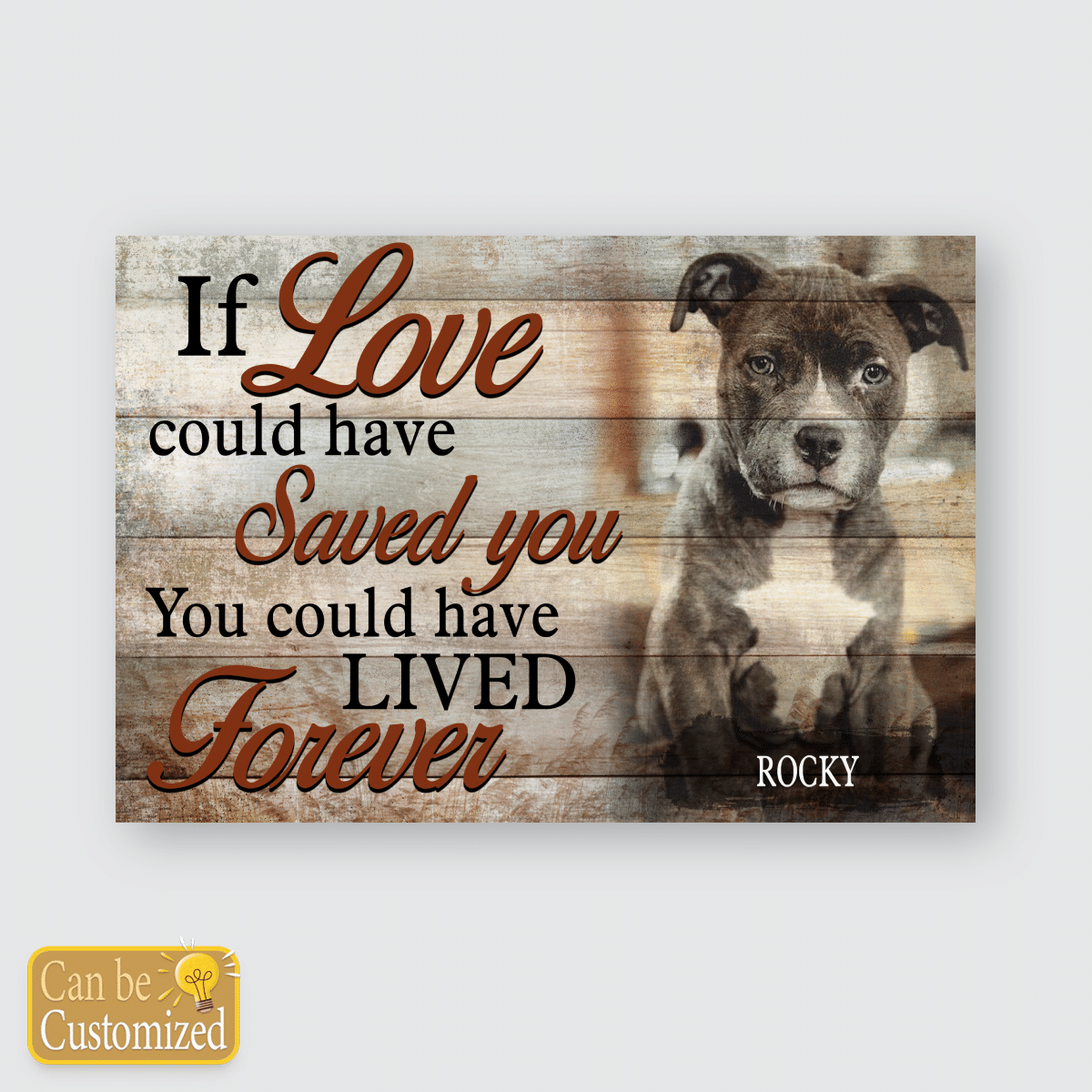 PITBULL  – POSTER – FOREVER