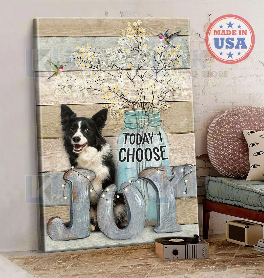 BORDER COLLIE – CANVAS Today I Choose Joy  [ID3-D] | Framed, Best Gift, Pet Lover, Housewarming, Wall Art Print, Home Decor