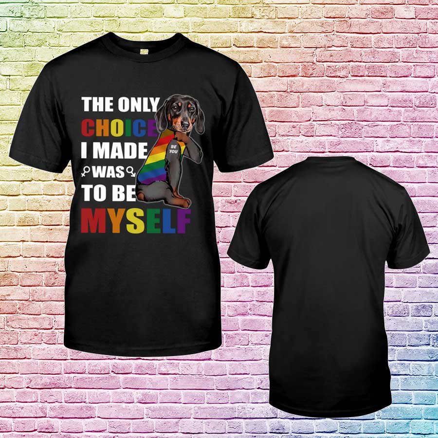 Gay Pride Shirts, The Only Choice I Made Was To Be Myself Classic T-Shirt, Lesbian Pride T Shirt